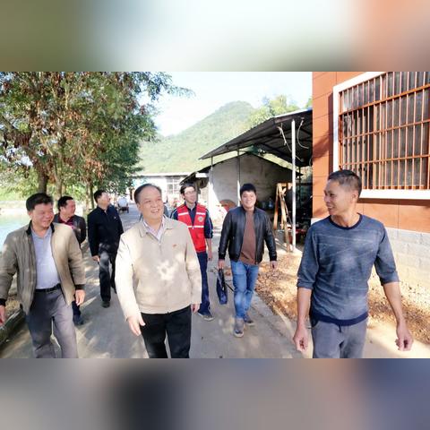 南宁市良兴村是哪个镇的