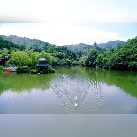济南市小百合幼儿园怎么样