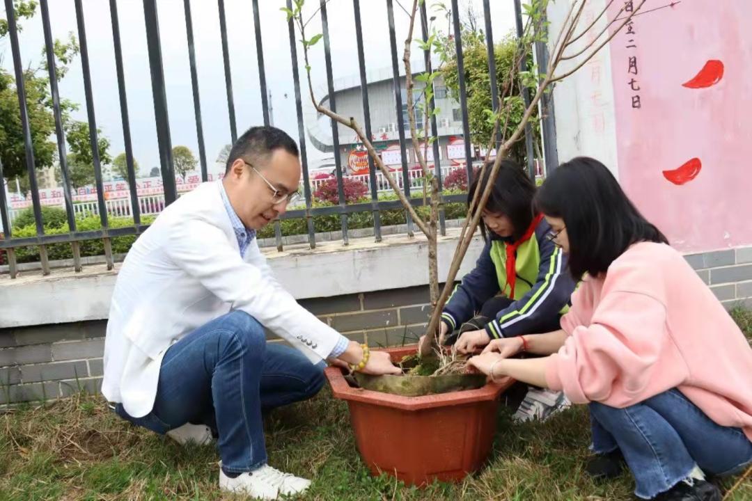 盆栽梨树用多大规格盆,苗木有前景吗?"