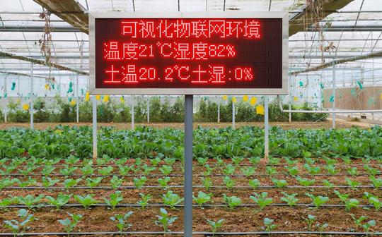 马云下了一手好棋！助农扶农帮夫妻小店，淘菜菜引领社区电商风向