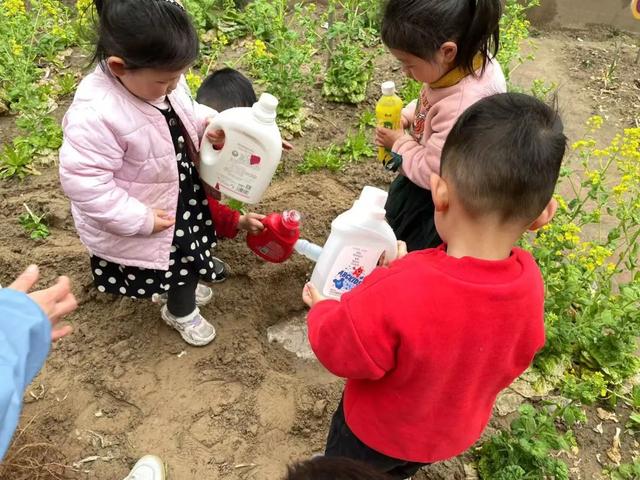 幼儿园植树节亲子活动通知