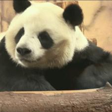 泉州市动物局电话是多少