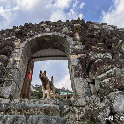 泉州市宗祠被盗的长尾关键词有什么