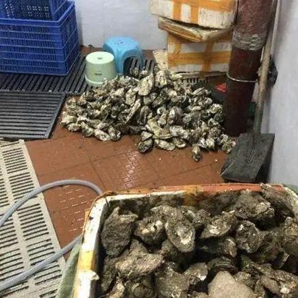 深圳市12345可以发信息投诉吗？