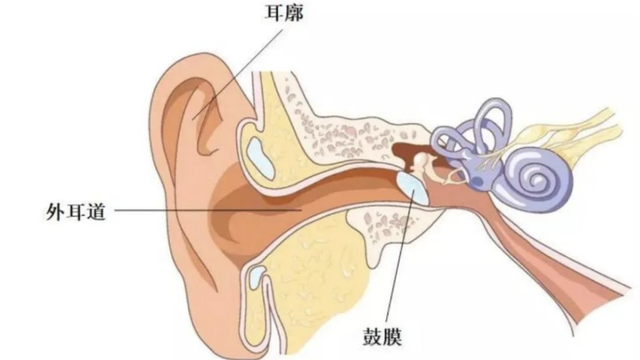 寶寶耳朵裡有耳屎能掏嗎寶寶耳朵裡有耳屎能掏掉嗎