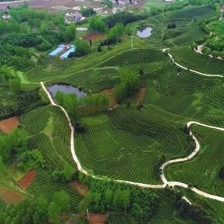 武汉市哪个村好玩
