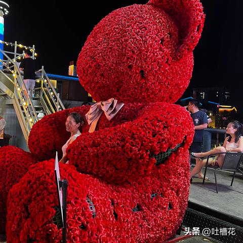 无锡市宠物夜市在哪里