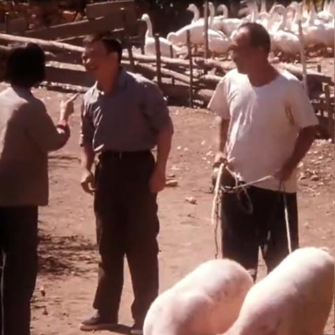 还债美国电影有哪些