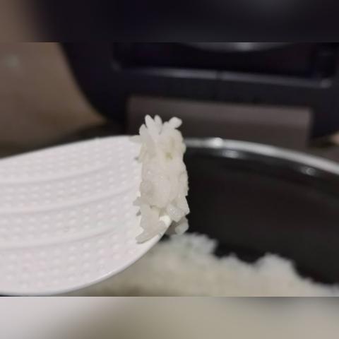 苏泊尔电饭煲好吗？