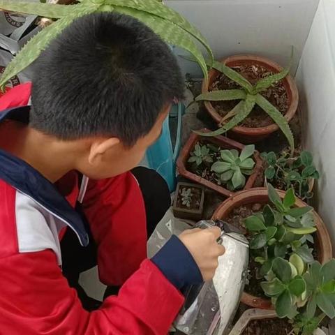 邯郸市广平县有多少小学