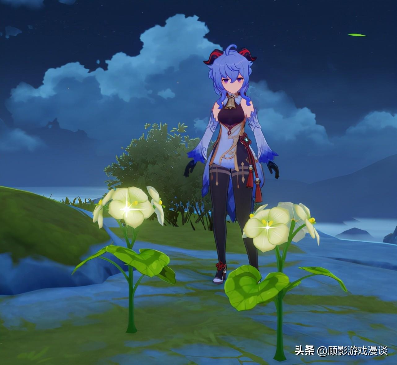 原神里种子怎么用(原神须弥飞来飞去的装置叫什么)