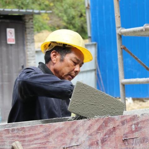 福鼎白茶宁德产的怎么样？