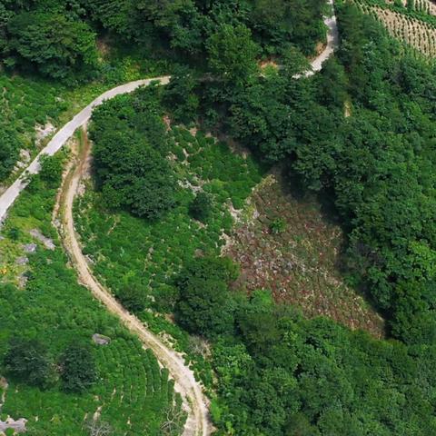 河南信阳哪个漂流好