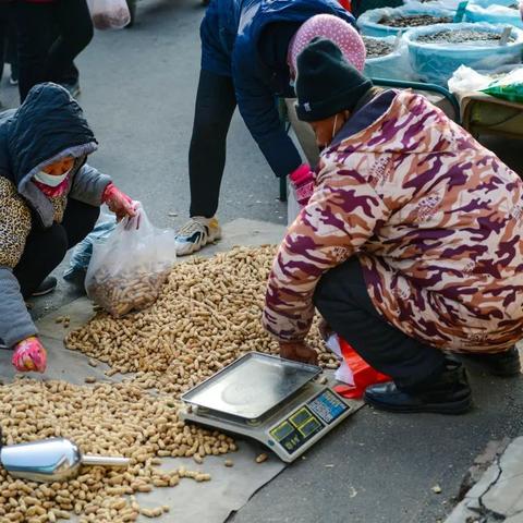 济南市哪个大集最好表