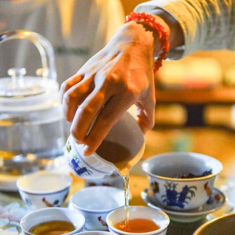 厦门市懒人泡茶器店在哪里