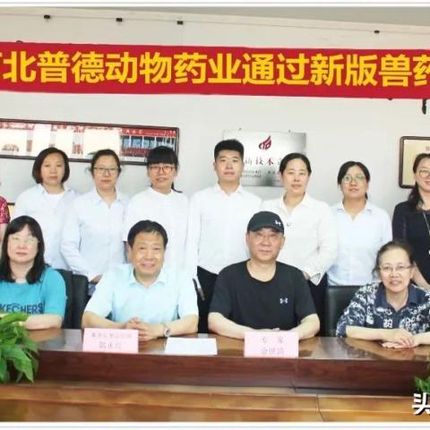 石家庄市兽药批发的长尾关键词有哪些