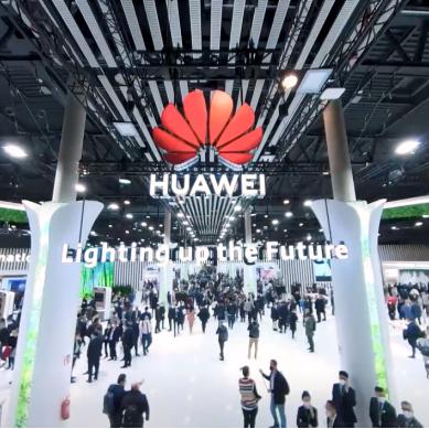 比特森林/比特森林是什么公司