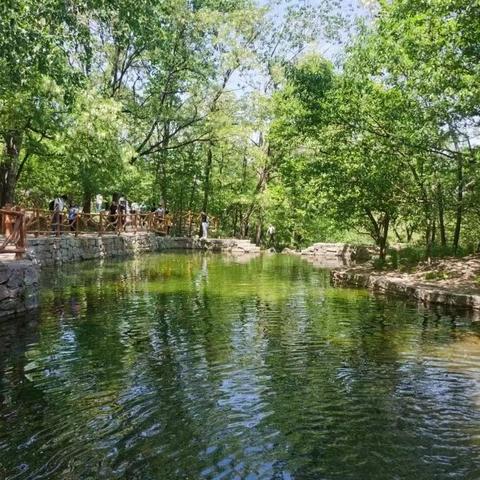 石家庄市修女学校的长尾关键词有哪些