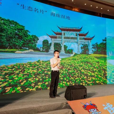 合肥市跟广州市哪个大