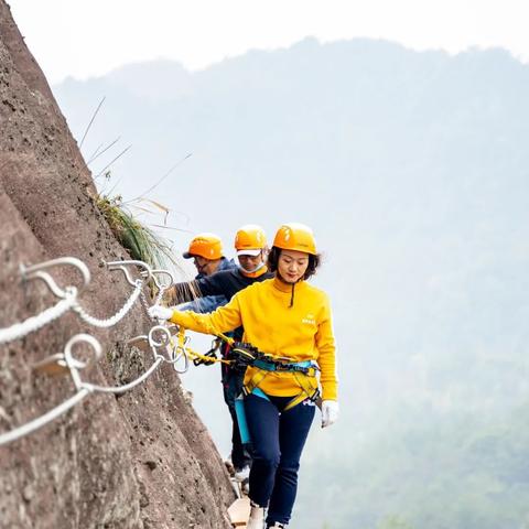 桂林的古木名树有哪些相关长尾关键词有哪些