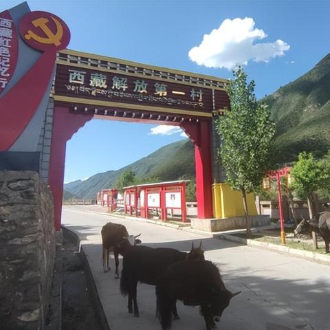 天津振兴经济怎么样