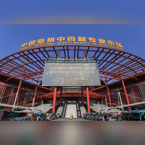 河北省保定市接打手持电话罚钱吗的长尾关键词有什么