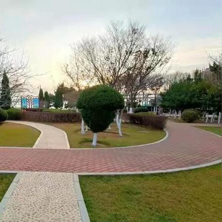 大连市黑石礁哪个区