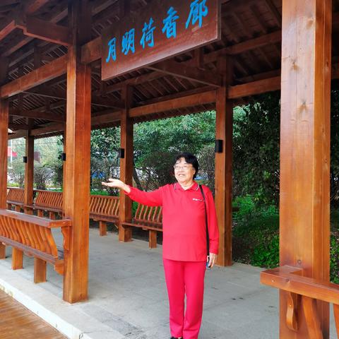 沈阳市北塔属于哪个区