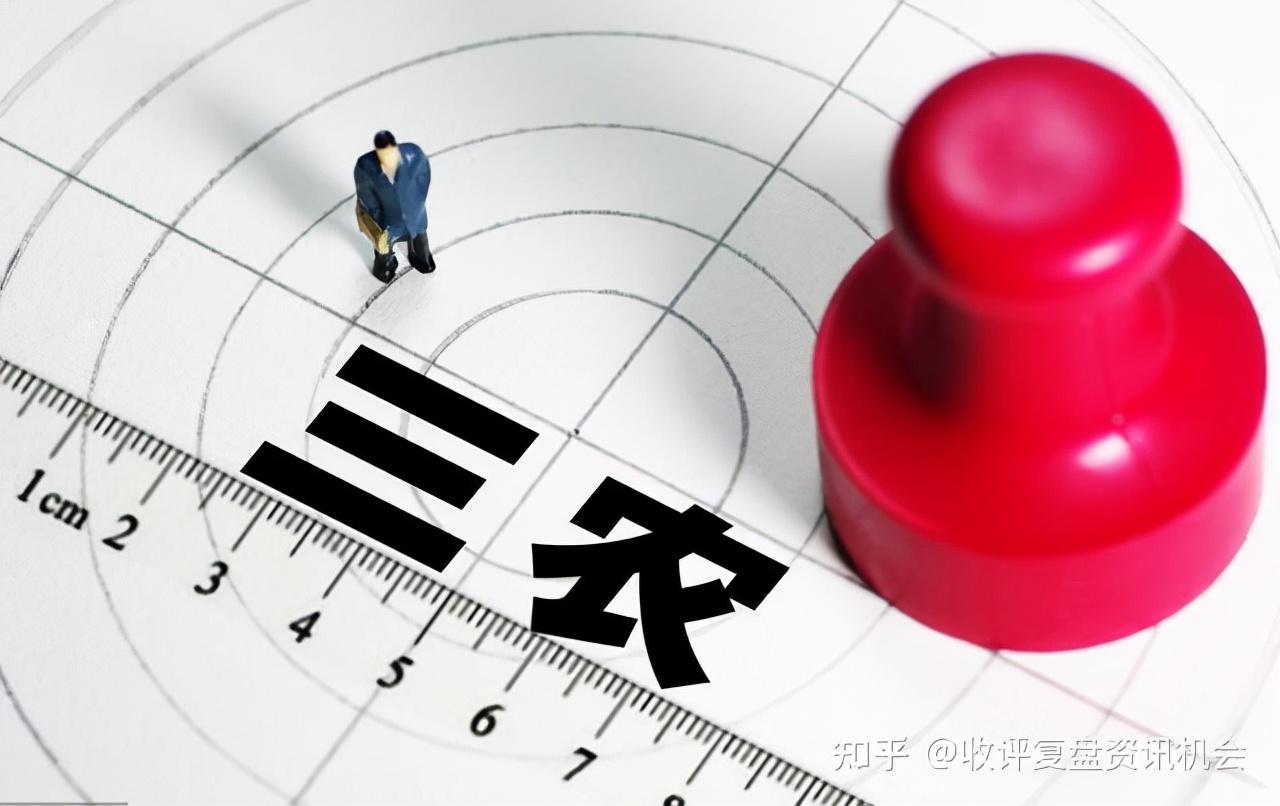 世界大学排行榜2025最新揭晓：领航未来，成就梦想——顶级院校TOP5全解析