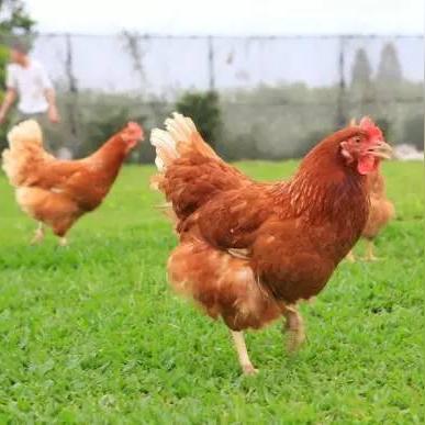 杭州周边钓鱼哪里地方鱼最多？