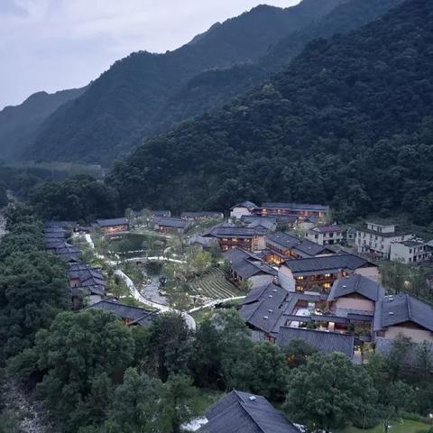 天津聚龙集团怎么样