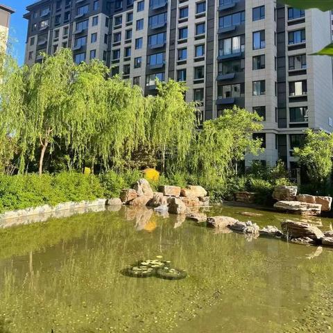 保定市高新区二手房价格的长尾关键词有什么