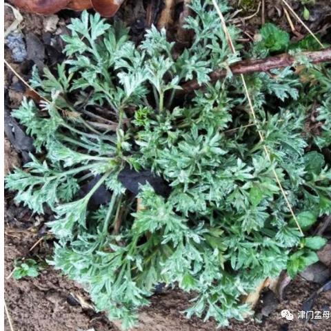 河北和天津哪个学校好考