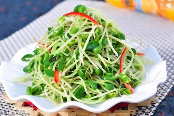 给孩子做什么美食（父母应该怎么教育）