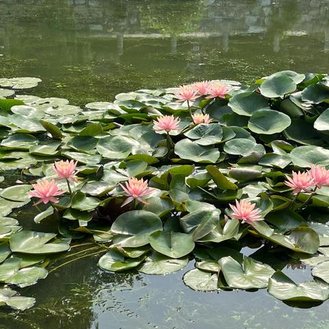 保定市手游休闲屋有哪些