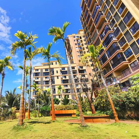 哈尔滨那能学游泳相关长尾关键词有哪些