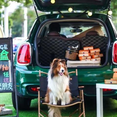 西安唐宫大唐相关长尾关键词有哪些