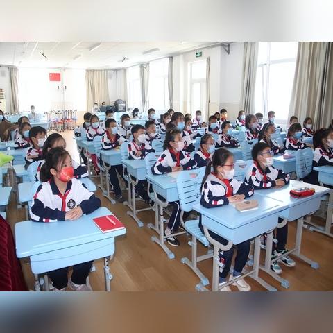 合肥市有哪些名树