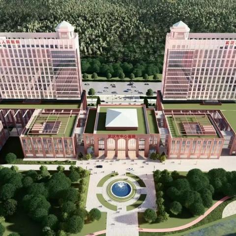剩什么公交车到武汉八医院？