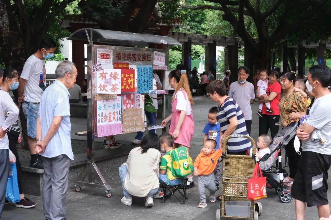 盆栽植物市场调查报告,想问一下去哪里玩最合适?"