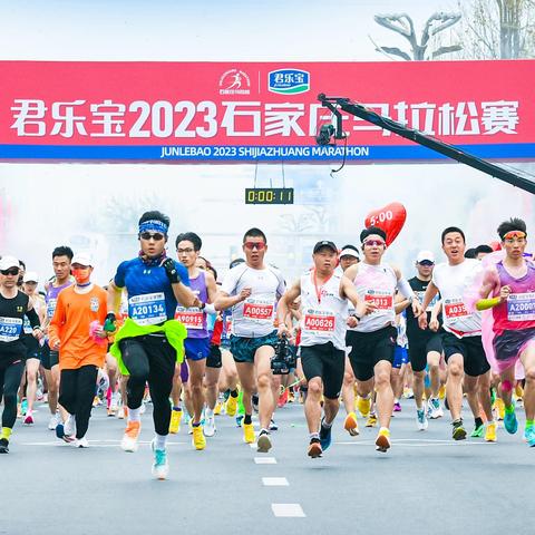 石家庄市最强城市是哪个