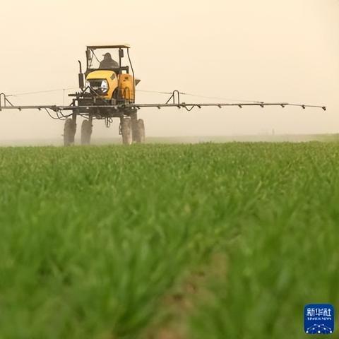 石家庄市哪里加工小麦粉