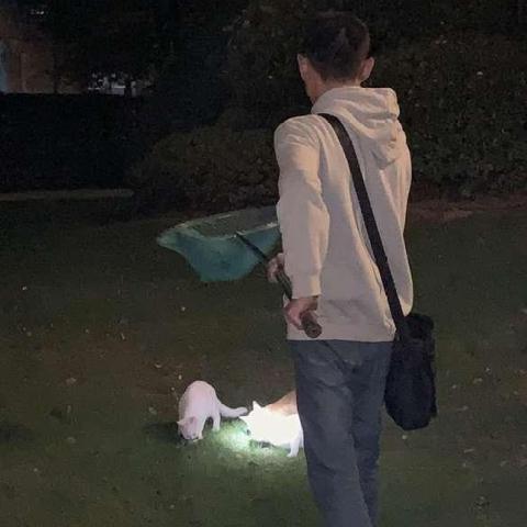 【天津雅仕汇】长尾关键词有什么