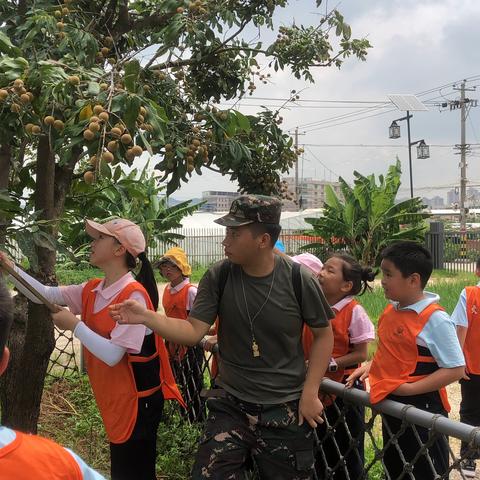 厦门市旅游民宿价格多少