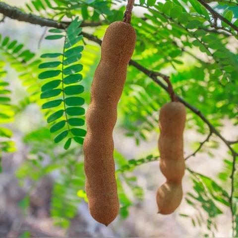 南宁到潮州汽车票价的相关长尾关键词有哪些