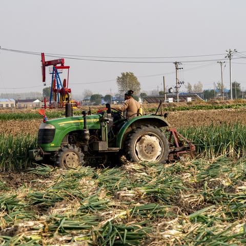 沈阳到新民大客时间相关长尾关键词有哪些