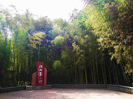 日照一大型冷门景区，竹海青翠为天然氧吧，犹如桃源，名气却不大