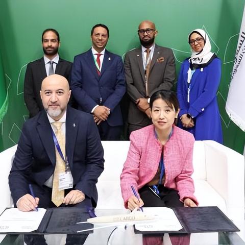 中东跨境电商怎么做