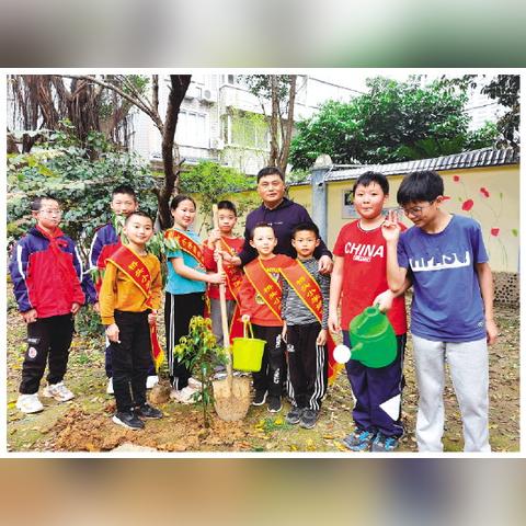 桂林市乡土树种有哪些