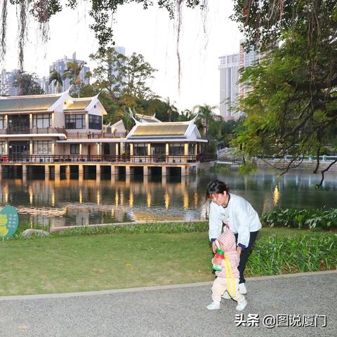 厦门绿化为什么好？